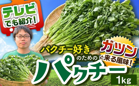 ＜満天☆青空レストランでご紹介＞パクチー好きのためのパクチー 1kg 江口農園[UBF009] 野菜 パクチー 本場のパクチー