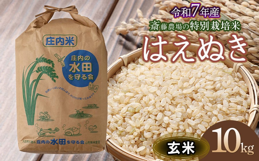 
            【令和7年産先行予約】 斎藤農場の特別栽培米 はえぬき 玄米 10kg(10kg×1袋) 山形県鶴岡市 K-759
          