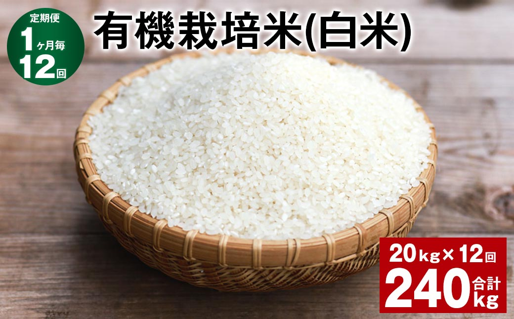 
【1ヶ月毎12回定期便】 有機栽培米（白米） 計240kg（20kg✕12回） 米 白米 ミルキークイーン
