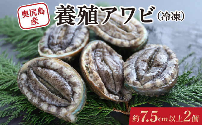 奥尻島産 冷凍 養殖アワビ (2個入り) 1個 約75mm | 新鮮 あわび アワビ 鮑 魚介 酒蒸し バター焼き 刺身 天ぷら グルメ お取り寄せ | 北海道 奥尻町 送料無料