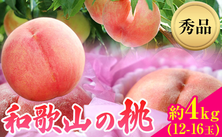 
            【2026年先行予約】和歌山県産桃（もも） 約4kg 12～16玉秀品 前商店《2026年6月中旬-7月中旬頃出荷》産地直送 もも モモ 果物 フルーツ
          