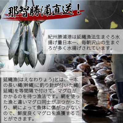 ふるさと納税 由良町 那智勝浦直送!天然生まぐろ　柵　500g |  | 01