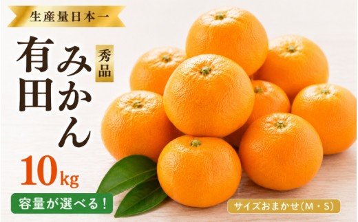 
                  特選 紀州 有田 みかん 10kg サイズおまかせ(М・Ｓ)  ※2026年12月上旬～下旬頃発送予定（お届け日指定不可）/ 温州みかん 有田みかん 甘い 高級 和歌山 柑橘【sml004-p-10】
                