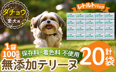 a1090-F ＜保存料・着色料 不使用＞愛犬用無添加テリーヌ レトルトパック ダチョウテリーヌ20袋(1袋約100g・合計約2kg)【Nフードサービス】姶良市 ダチョウ テリーヌ 犬 ドッグ ペット フード エサ レトルト おやつ ごはん ご飯 間食 ご褒美