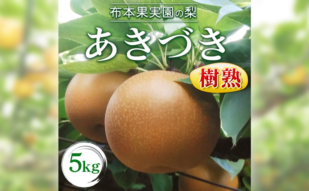 樹熟梨「あきづき」約12玉 5kg ※大きさは天候・生育状況により変わる場合があります ※2026年9月～発送