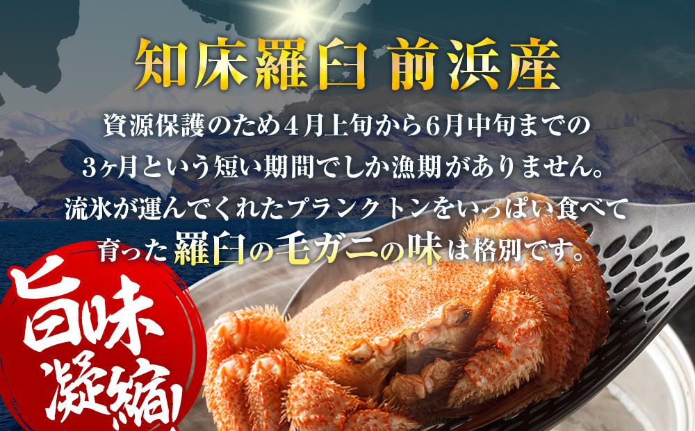 2025年産　ボイル冷凍毛ガニ　大１尾（600～650g）