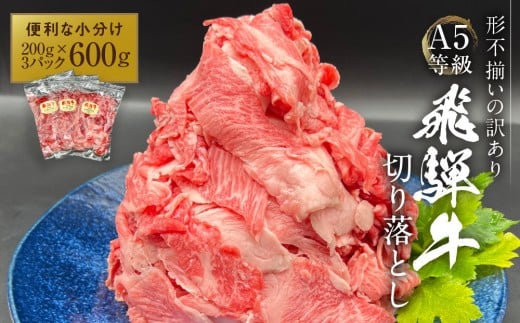 
            【形不揃い訳あり】A5等級飛騨牛 こま切れ 切り落とし600g（200g×3パック）| 便利なこま肉 肉じゃが 肉料理 ブランド牛 不揃い 人気 国産 お取り寄せ グルメ おすすめ 飛騨高山 岩ト屋 HF046
          