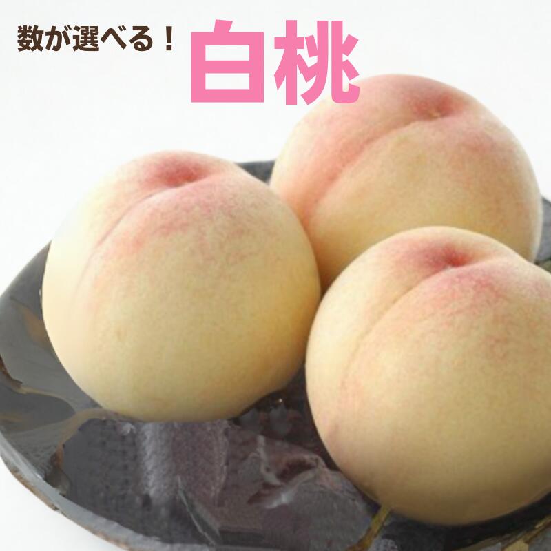 【ふるさと納税】数が選べる 桃 2025年 先行予約 白桃 3玉 800g 5玉 1.3kg もも モモ 岡山県産 国産 フルーツ 果物 ギフト 果物 デザート スイーツ 果肉 美味しい 甘い 柔らかい 上品 新見 新見市