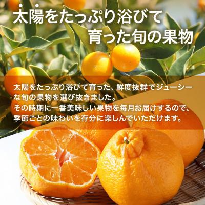 ふるさと納税 山鹿市 【発送月固定定期便】フルーツ6ヶ月定期便(2月〜7月)(山鹿市)全6回 |  | 01