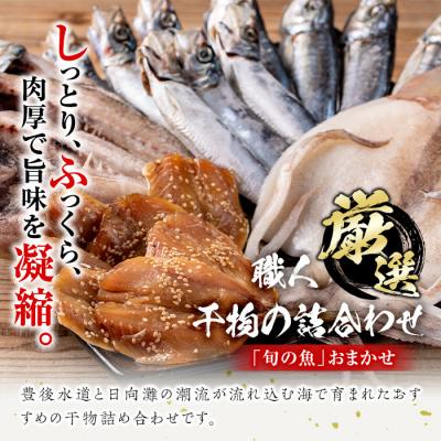 ふるさと納税 佐伯市 職人厳選干物セット (約7種) |  | 02