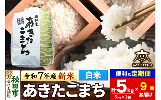 《令和7年産 新米受付》《定期便9ヶ月》あきたこまち 清流米 5kg【白米】 秋田市雄和産