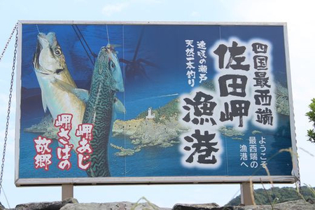 【一本釣り 匠の漁】天然アジ・三崎サバ一夜干しセット（各2枚） 【 あじ アジ さば サバ 一夜干し アジ一夜干し サバ一夜干し 】 IKTJ005