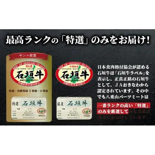 石垣牛 ハンバーグ 100g10個