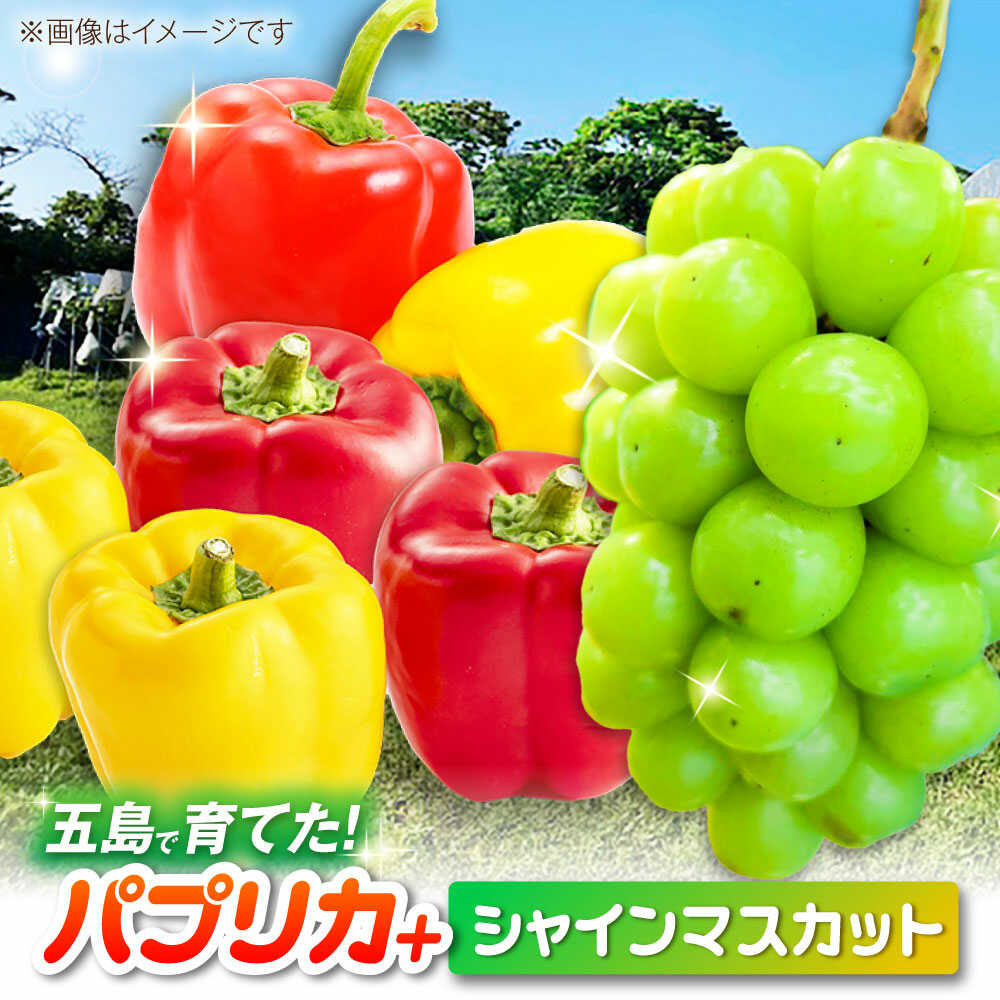 【ふるさと納税】【2026年発送】シャインマスカットとパプリカ 五島市/HPIファーム ブドウ ぶどう 野菜 果物[PCP015]