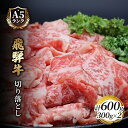 【ふるさと納税】飛騨牛切り落とし　600g(300g×2)　【 牛肉 お肉 国産 黒毛和種 柔らかい とろける くちどけが良い 霜降り 細かいサシ 食材 食卓 グルメ 】