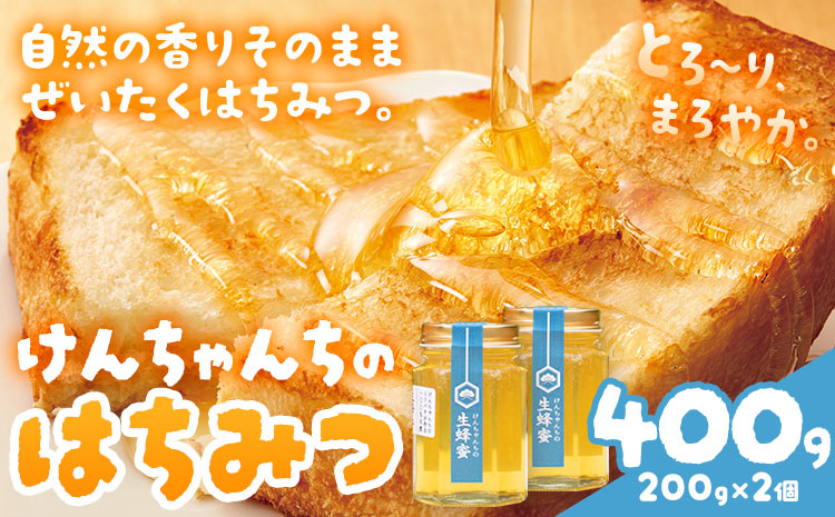 けんちゃんちの国産蜂蜜 200g×2個《30日以内に出荷予定（土日祝除く）》| ふるさと納税 はちみつ ハチミツ 蜂蜜 国産蜂蜜 天然蜜蜂 徳島県 佐那河内村 送料無料