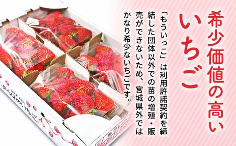 【1月発送】糖度の中に程よい酸味　亘理産おらほのいちご「もういっこ」