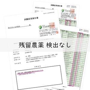 無農薬栽培 無添加 減塩 梅干し 訳アリつぶれ梅 約1kg(500gパック×2個) 塩分3% N3-G［KU2］