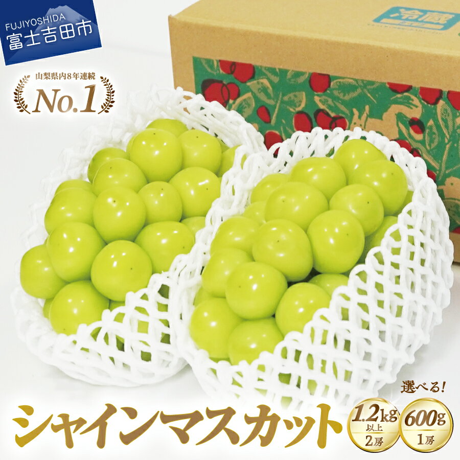 【ふるさと納税】 シャインマスカット 選べる容量 600g 1.2kg以上 2kg 3kg お試し 大人気 ご褒美 贅沢 シャイン ぶどう 果物 フルーツ 送料無料 山梨県 2026 旬 大粒 富士吉田 高級 富士吉田市 ふるさと納税 ブドウ 葡萄 くだもの 厳選 ジューシー 甘さ抜群 【 2026年発送 】