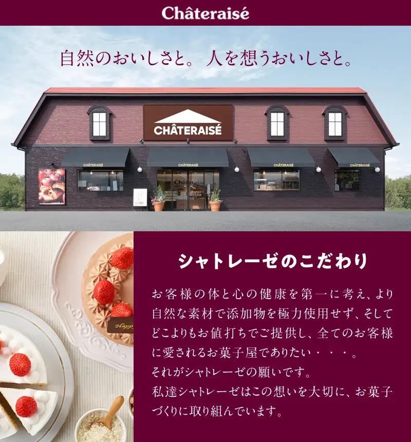 【ふるなび限定】 シャトレーゼ チョコアイス バラエティセット チョコ アイス FN-Limited-SP [h367]