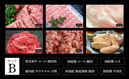 お肉セット 肉屋大石 黒毛和牛 豚肉 鶏肉 お肉セット【定期便2回】