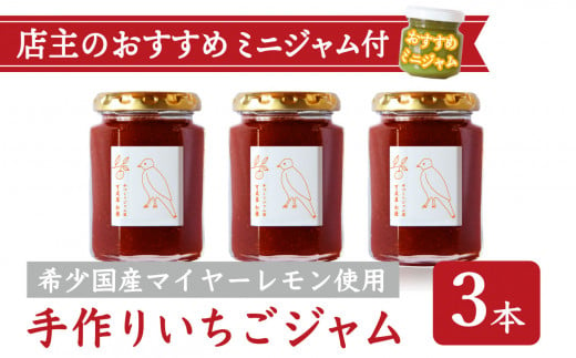 
手作り いちごジャム 160g ３本 セット 希少 国産 マイヤーレモン お得 な お試し ミニジャム付 保存料 着色料 不使用 パン によく合う こだわり ジャム 日用品 KA-38
