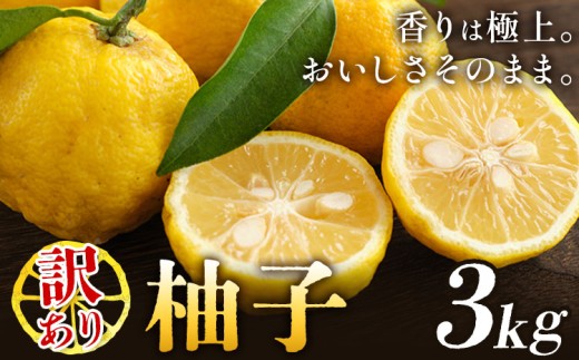 ゆず 訳あり 柚子 約3kg 《11月中旬-1月中旬頃発送》徳島県 佐那河内村 ゆず 柑橘 フルーツ 旬【配送不可地域あり】※離島