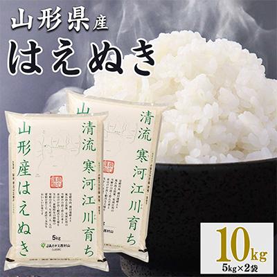 ふるさと納税 寒河江市 新米【令和8年産】清流寒河江川育ち 山形産はえぬき10kg(5kg×2袋)