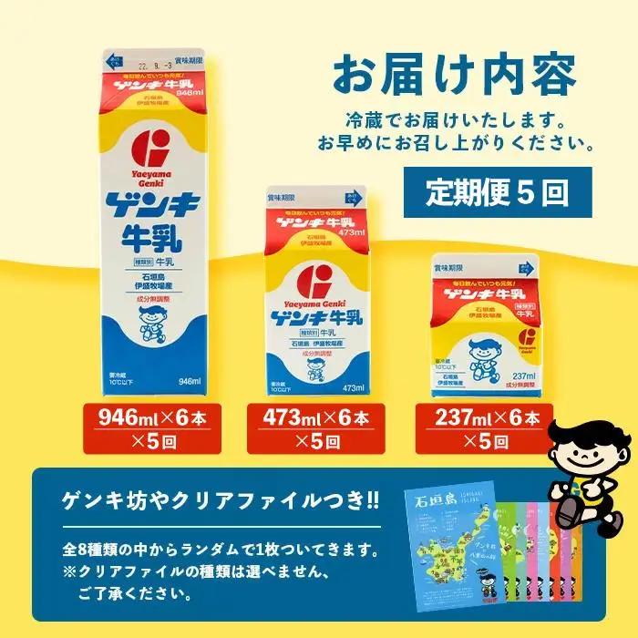 【定期便_5回】ゲンキ牛乳バリューセット　GN-3_5t