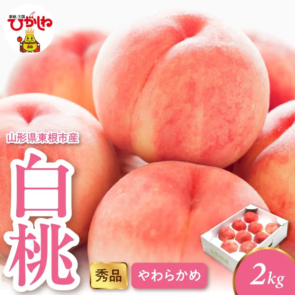 2026年産 白桃 柔らかめ 2kg 秀品 白桃