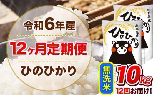 令和6年産【12ヵ月定期便】 無洗米 ひのひかり 定期便 10kg 5kg×2袋《お申込み翌月から出荷開始》 熊本県産 精米 ひの 米 こめ ヒノヒカリ コメ お米