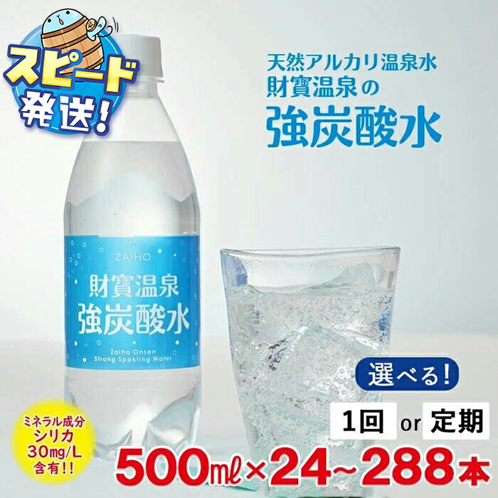 炭酸水 強炭酸 500ml 48本 (2箱）鹿児島県垂水市 財寶温泉 強炭酸水 送料無料 シリカ 温泉水 軟水 財宝