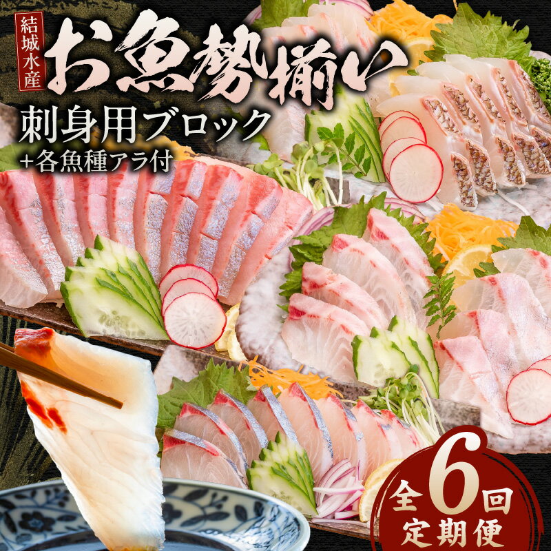 【ふるさと納税】【6ヶ月定期便】 冷蔵 結城水産 お魚勢ぞろい お刺身用ブロック 金寿カンパチ マダイ 旬 魚 刺身 ブロック シマアジ イサキ クロメジナ ハマチ イシガキダイ アラ 付き 選べる 皮あり 皮なし 魚介類 お取り寄せ お取り寄せグルメ 宮崎県 延岡市 送料無料