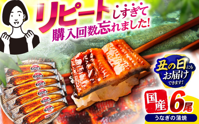 【最速発送】＜諫早淡水＞うなぎ蒲焼6尾 / うなぎ ウナギ 鰻 蒲焼き 蒲焼  国産 冷凍 小分け うな重 うな丼 ひつまぶし / 諫早市 / 活うなぎ問屋 諫早淡水 [AHAT008]スピード 最短 最速 発送 丑の日 土用丑の日