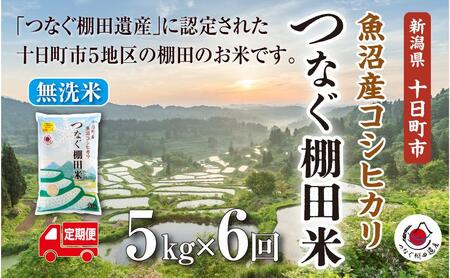 【定期便／全6回】無洗米5kg　令和7年産新潟県十日町市魚沼産コシヒカリ「つなぐ棚田米」  米 こしひかり 無洗米 定期 十日町市