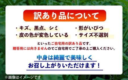 数量限定 訳あり大玉スイカ1玉約6〜9kg 家庭用スイカすいか規格外 AYAT007