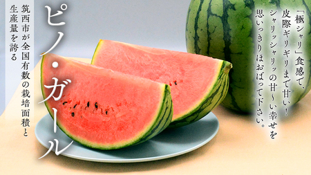 【 筑西ブランド 認証品 】 旬のフルーツ 定期便 ( ミニコース ) 2026年産 先行予約 幸水 豊水 こだまスイカ 黒こだま ピノ・ガール 果物 フルーツ [AE013ci]