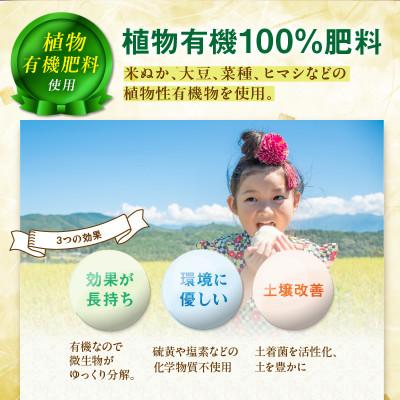 ふるさと納税 京丹後市 京丹後米〜水と文化が育んだ〜夢ごこち 精米 2kg 環境に優しいこだわりの肥料で育てた夢ごこち |  | 02