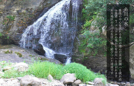 お米 5kg 思いを繋ぐ糸川のお米 結意米 【ゆいまい】和歌山県産 【みかんの会】