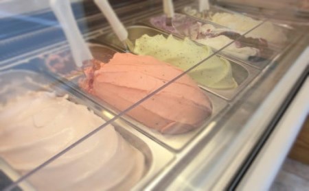 『白馬そだち』白馬農場の手造り本格ジェラート2L(いちご・ブルーベリー各1L) /長野県白馬村【G0040183】