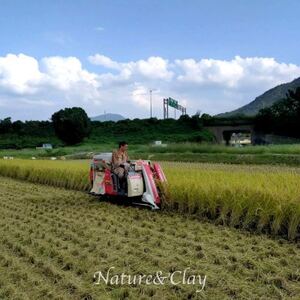 NATURE＆CLAY【残留農薬0】シロヤマクレイ米(玄米)3kg【1706080】