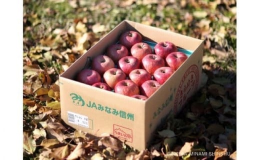 このような箱でお届けします。（品質：共選格外A品）