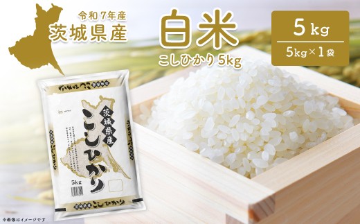 【令和7年産/白米】 〈令和8年2月内発送〉こしひかり 5kg 茨城県産 米 小分け 2025年産 K2670