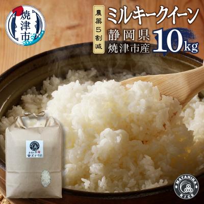 ふるさと納税 焼津市 ミルキークイーン 白米10kg(5kg×2袋)(a36-018)