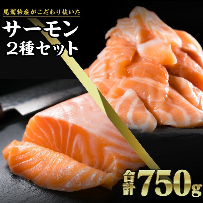 【ふるさと納税】年内発送 12月末までにお届け サーモン ブロック&切り落とし750gセット 小分け 鮭 サーモン アトランティックサーモン さけ シャケ しゃけ sake カルパッチョ ソテー レアステーキ 人気 高級 大満足 生食用 刺身 お刺身 刺し身 魚介類 海鮮 冷凍 OB-22
