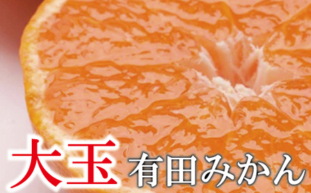 ＜11月より発送＞家庭用 大きな有田みかん10kg+300g(傷み補償分)【わけあり・訳あり】【光センサー選果】【ikd120B】