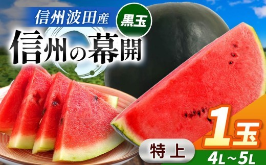 【先行受付】信州波田産 贈答用 黒玉スイカ！信州の幕開 【特上】 4L～5Lサイズ 1玉｜ふるさと納税 長野県 信州 松本 果物 フルーツ すいか スイカ 西瓜 贈答 季節限定 甘い くだもの ふるー