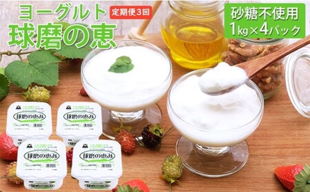 ヨーグルト 球磨の恵ヨーグルト 無糖 砂糖不使用 ヨーグルト【1kg×4パック】【定期便3回】