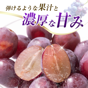 ピオーネ 【令和9年発送 先行予約】小林市産 ピオーネ 2kg ぶどう
