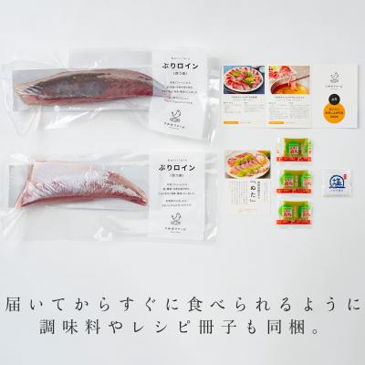 ふるさと納税 大月町 【定期便4回】冷蔵 養殖ぶり 2柵 セット 朝〆 鰤 ブリ 刺身 生食用 高知県 大月町 産地直送 |  | 02